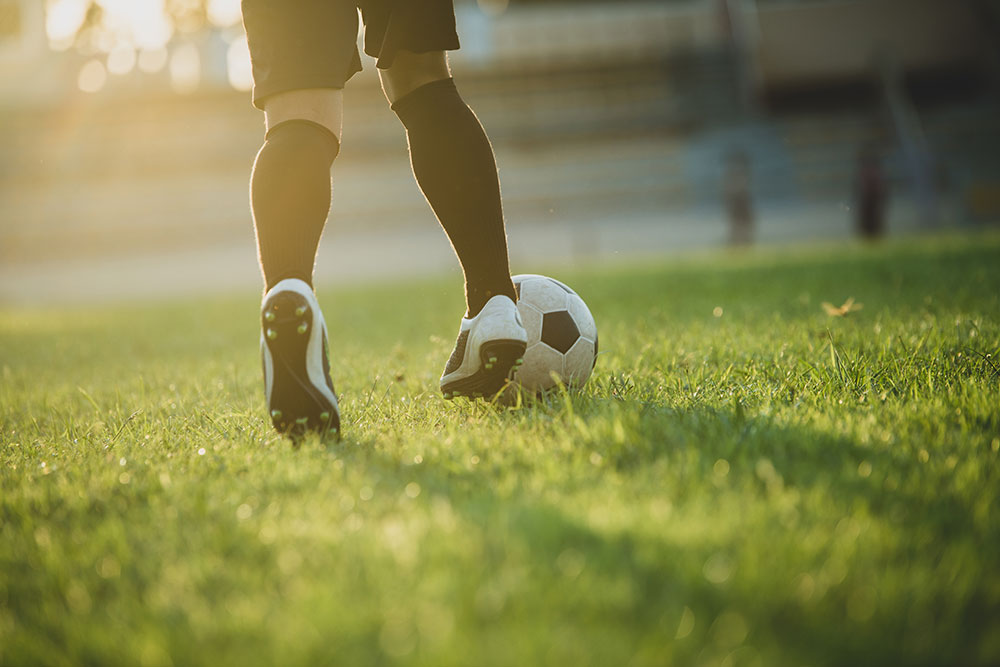 vista vision convenzione bologna calcio