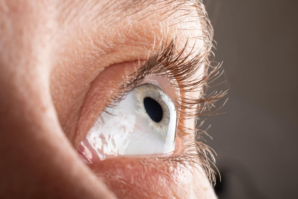 close-up cornea occhio
